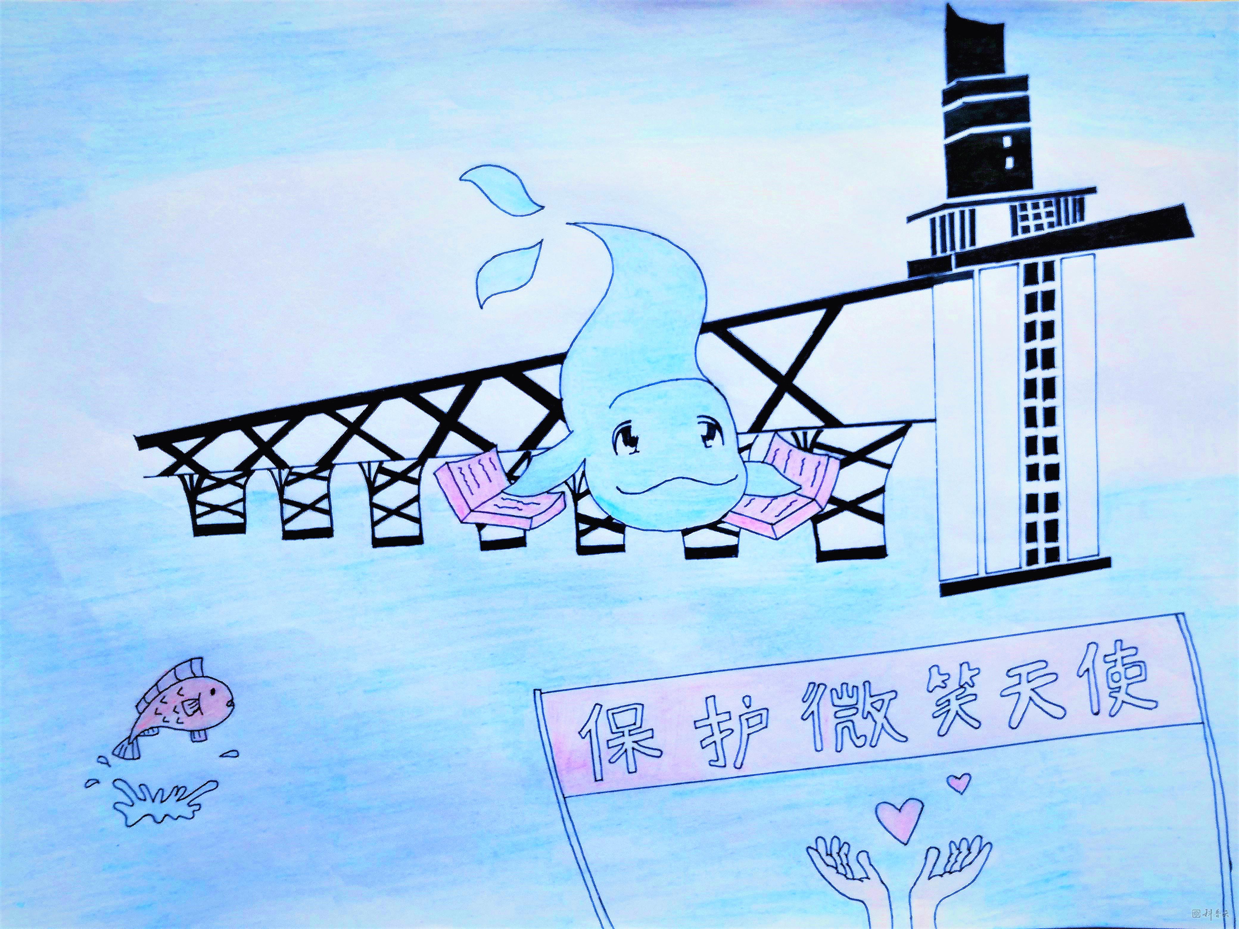 2017"守望江豚"优秀江豚科普作品征集-绘画