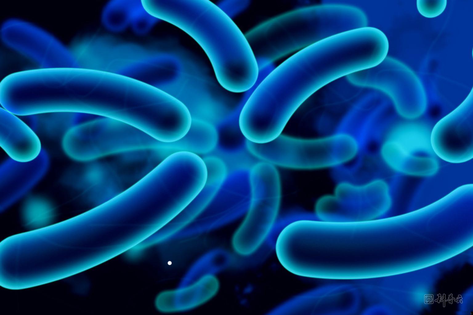 o-E-COLI-ALBERTA-BEEF-RECALL-facebook.jpg