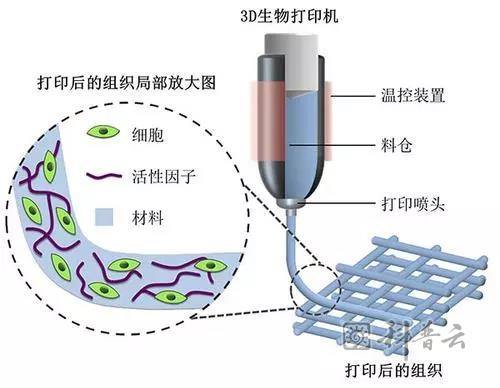 微信图片_20181119100751.jpg