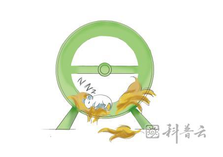 微信截图_20190410141344.jpg
