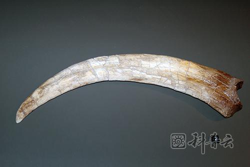 图片4.jpg