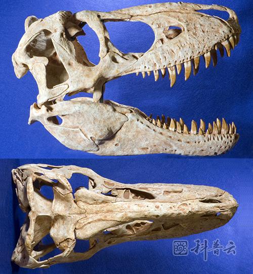 图片6.jpg