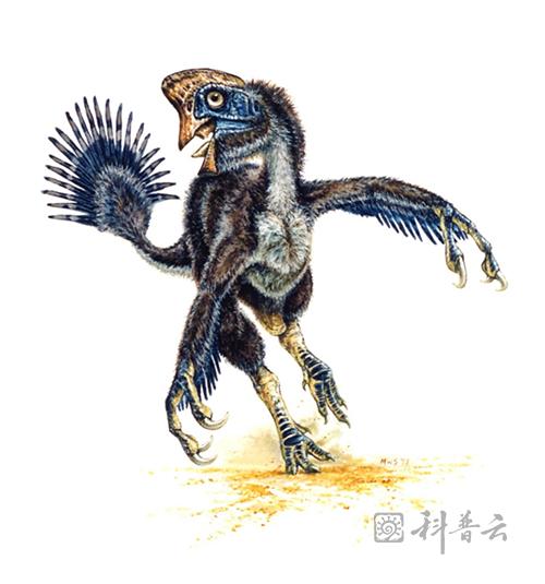 图片 1.png