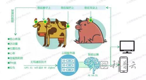 图片 12.png
