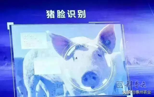 图片 70.png