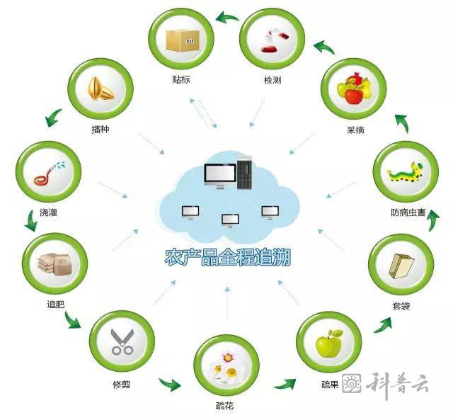 图片 9.png