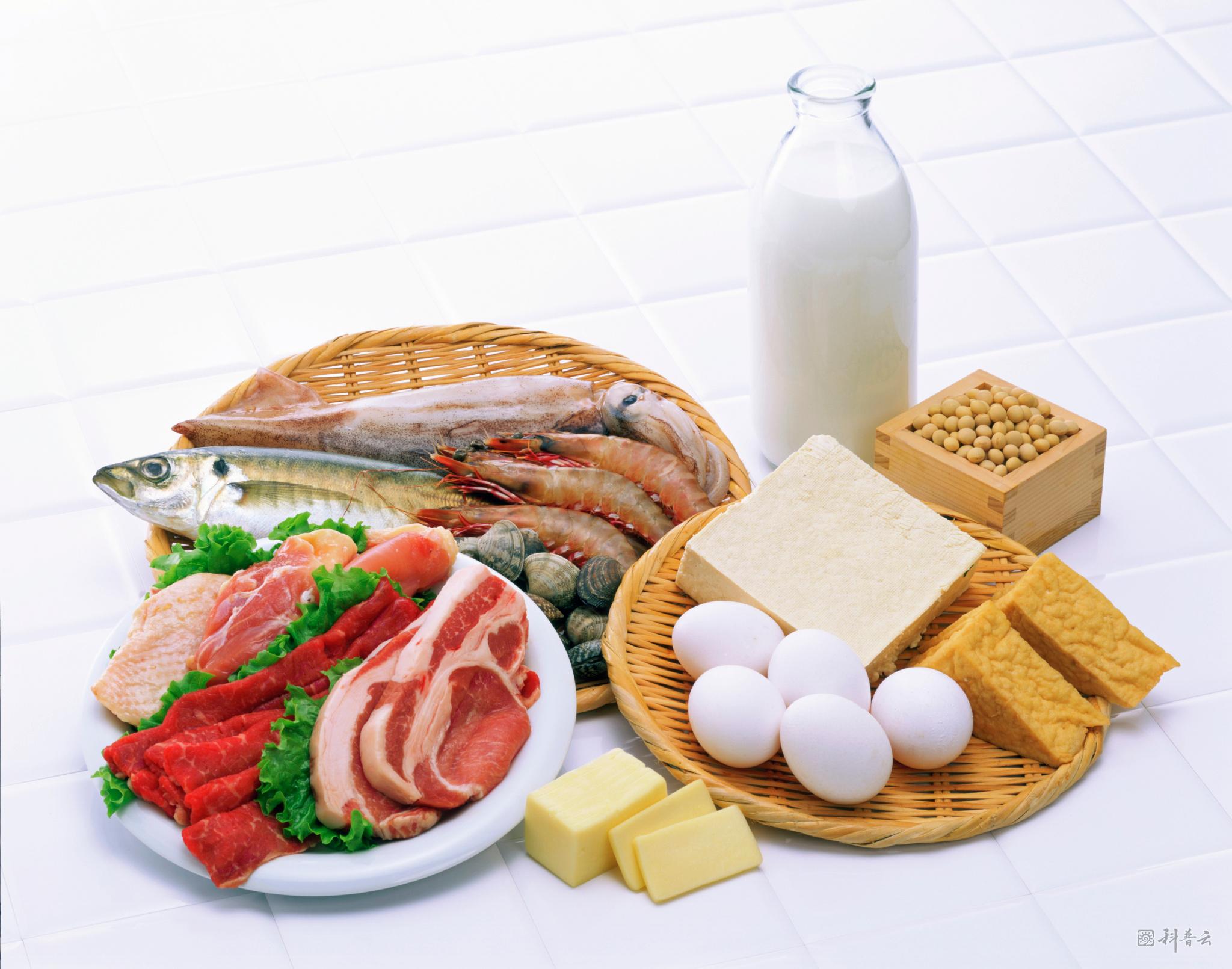 高蛋白质食物一览表图片（十大高蛋白食物排行榜） – 碳资讯