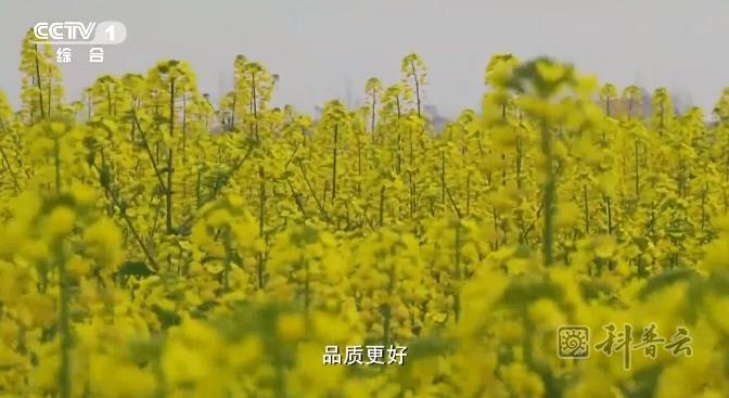 微信截图_20231214100130.jpg