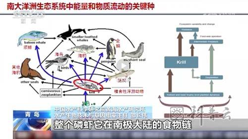 微信截图_20240109172527.jpg