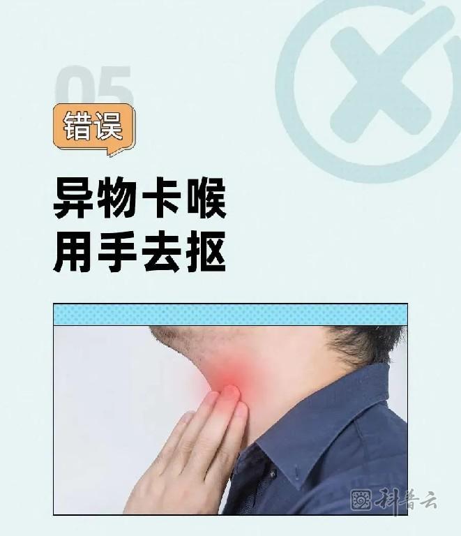 11.jpg 11.jpg