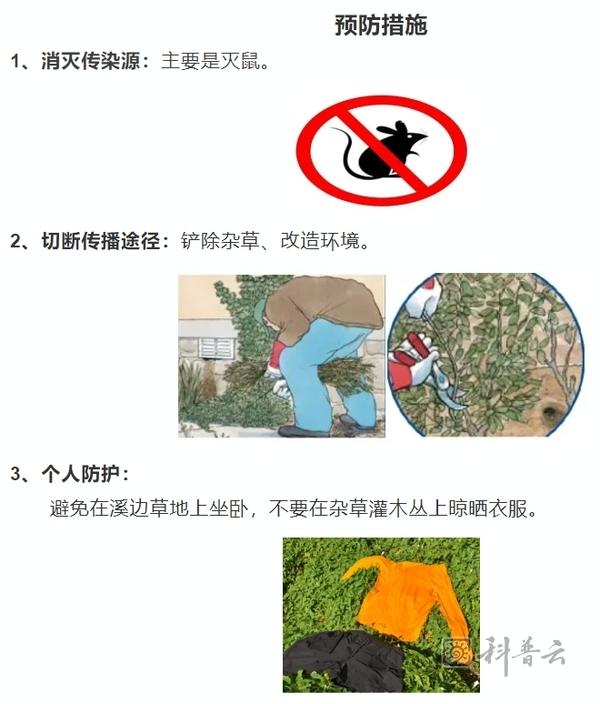 10_5716.jpg
