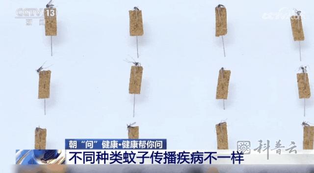微信截图_20250424115115.jpg
