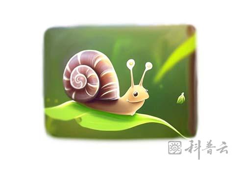 7“有房户“—蜗牛.jpg