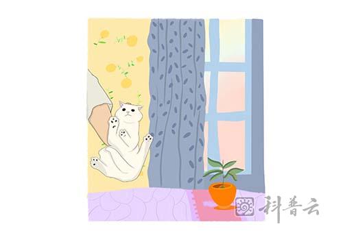 37奇特的夹子催眠.jpg