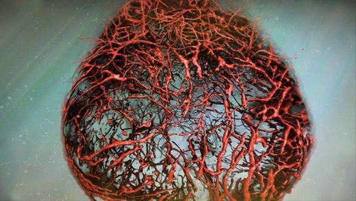 科学家们培育出了完美的人造血管